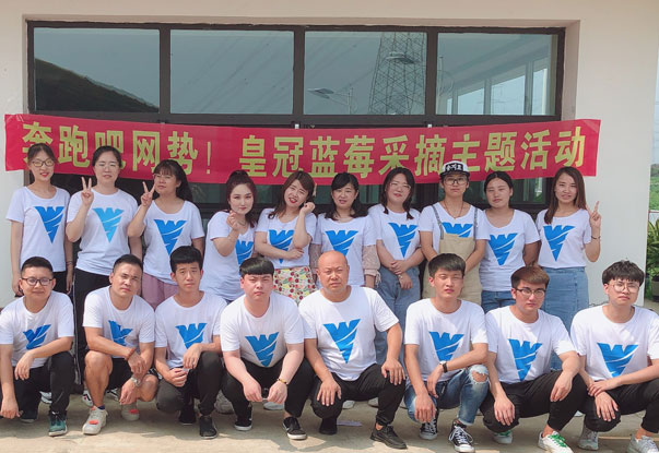 【奔跑吧網(wǎng)勢！】藍(lán)莓采摘主題團(tuán)建活動