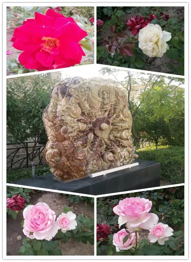 網(wǎng)勢(shì)科技6周歲生日快樂(lè)！